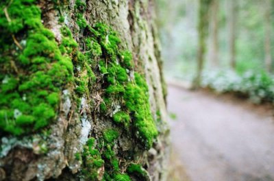 ​三月再见四月你好经典朋友圈句子(精选99句)