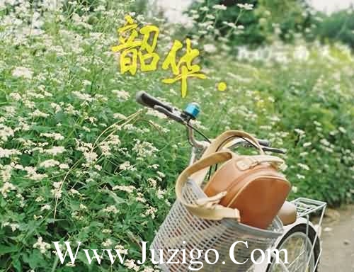 夸老婆的话短而经典夸女孩子的话真实的(精选19句)