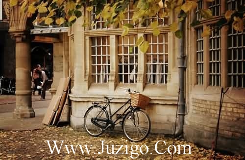 懒羊羊伤心语录懒洋洋说过的经典语录(精选26句)