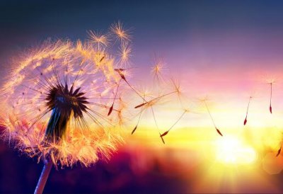 ​日落黄昏的唯美句子