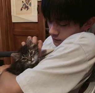 ​形容心情好的唯美短句（形容默契度很高的成语）