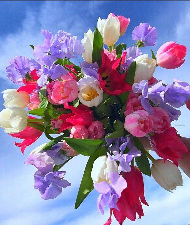 温馨的早安唯美句子(早安唯美励志正能量说说)