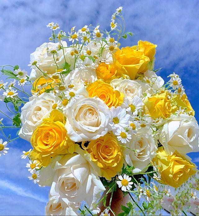 温馨的早安唯美句子(早安唯美励志正能量说说)