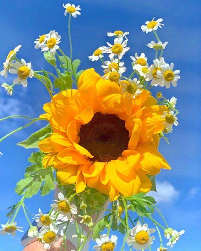 温馨的早安唯美句子(早安唯美励志正能量说说)