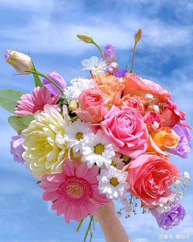 温馨的早安唯美句子(早安唯美励志正能量说说)