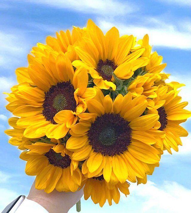 温馨的早安唯美句子(早安唯美励志正能量说说)