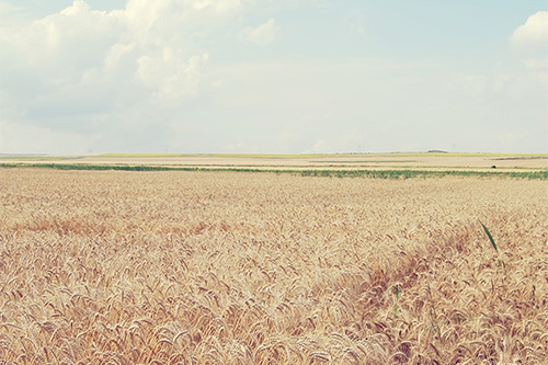 2023年安全感是自己给的句子(40句)