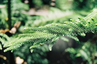 ​12月每天早安问候短语(早安问候语温馨短语)