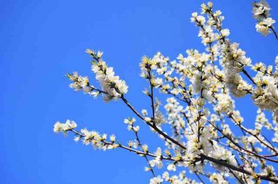 ​腊八节唯美句子（精选3篇）