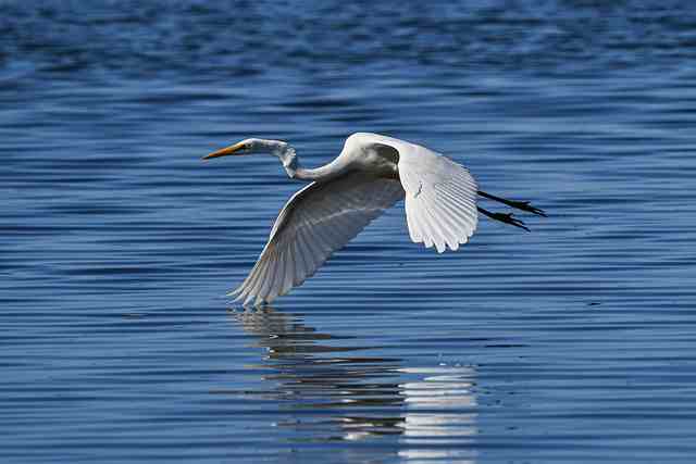 双城记名句(精选79句)