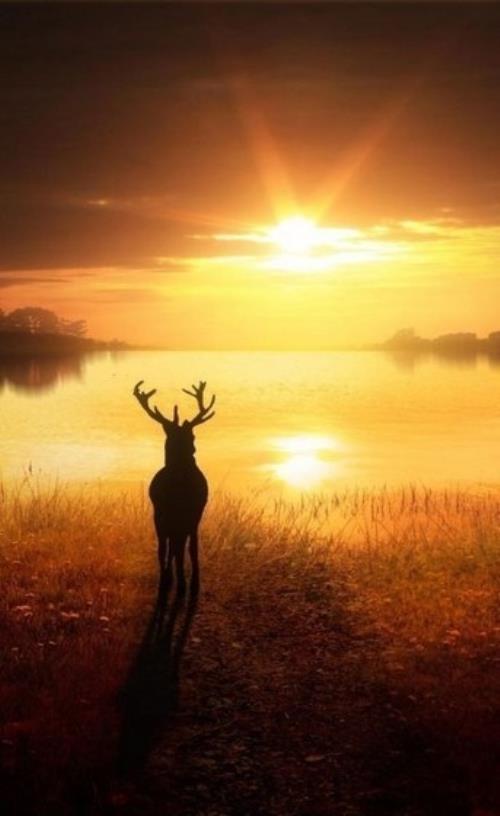 2023经典搞笑语录