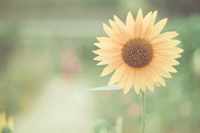 ​考研英语常考谚语