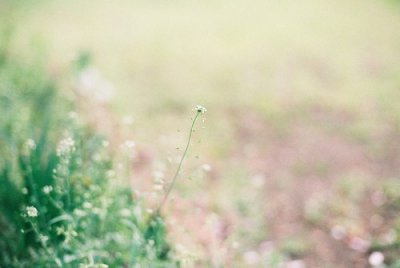 ​让男生感动到哭的留言200字83句