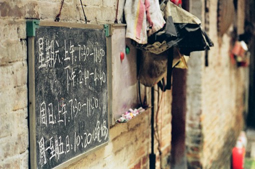 2024最新保护动物宣传口号大全(野猪是几级保护动物)