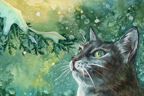 关于读书的名言警句85句