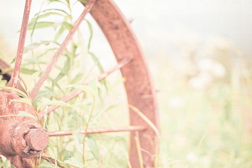 高中班级标语口号84句