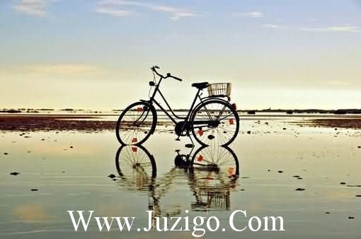 表示诚信的名言警句83句