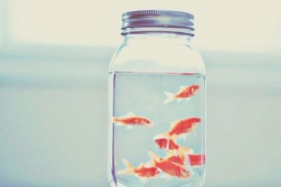 ​企业环境保护标语96句