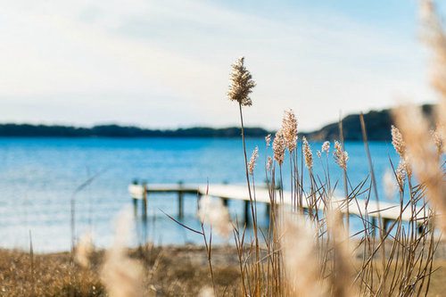 关于表达母爱的名言72句