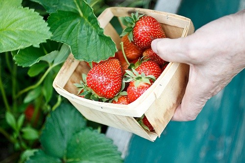 2024抗击疫情标语口号 小学生抗击疫情标语(精选68句)