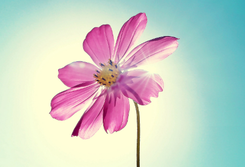 1687008491268733.png image.png