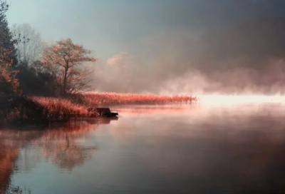 ​有关竹的诗句