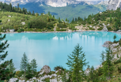 ​校庆活动宣传标语