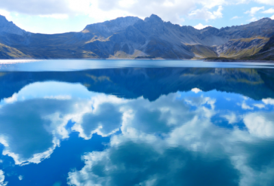 ​雪中春信的典故（雪中春信诗句分享）