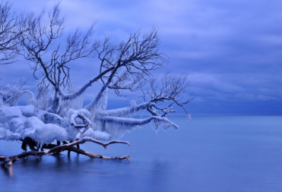 ​与月亮有关的诗句