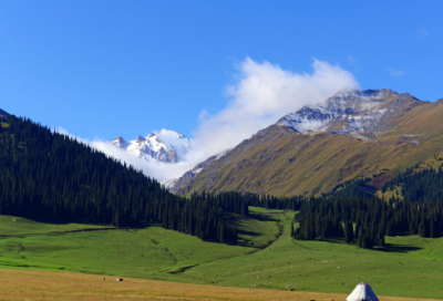 ​参加运动会口号