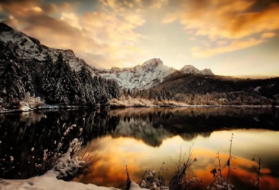 ​关于酒的诗句