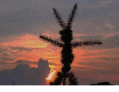 描写早晨阳光的诗句