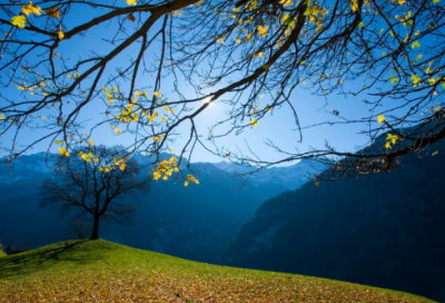 ​运动会方阵口号