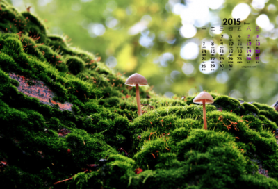 ​抒发豪情壮志的诗句