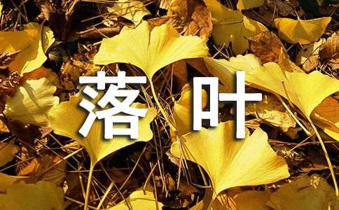歌颂落叶的现代诗(精选5首)