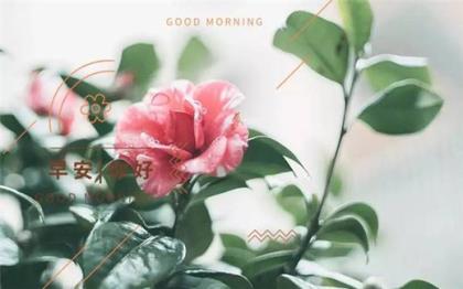 有关自强自信的名人名言