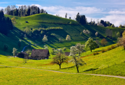 ​有关梅花的诗句有哪些（梅花诗句最出名诗句）