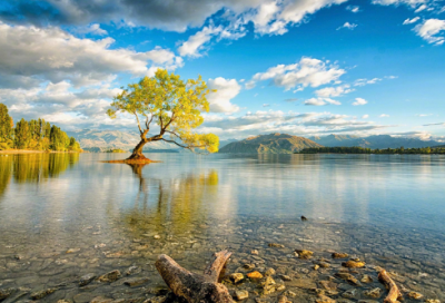 ​描写爱情的诗句大全（浪漫到极致的句子）