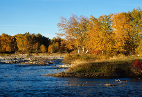 1687318142884346.png image.png