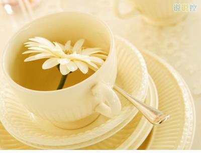 感恩节横幅标语片大全