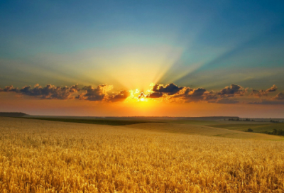 ​表达思念之情的诗句