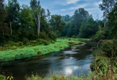 ​唯美的诗词古代（唯美爱情的古诗词）