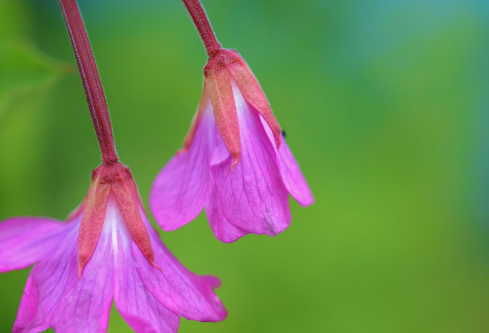 1688574473125842.png image.png