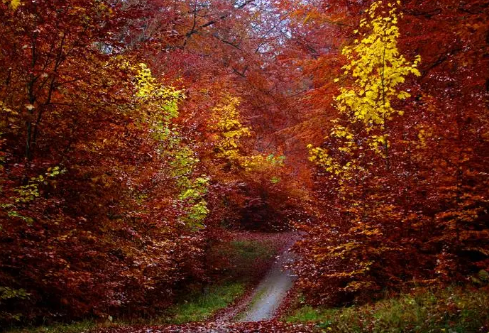 1688497536121323.png image.png