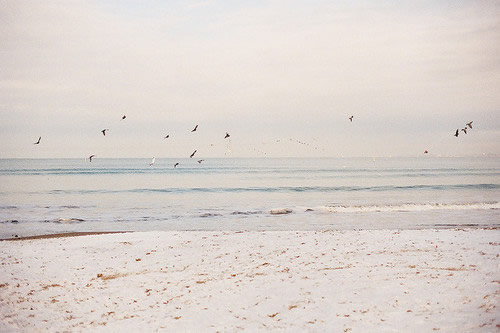 2024八一建军节慰问横幅标语(62句)