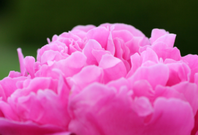 ​百忧集行唐杜甫翻译（百忧集行古诗意思解释）