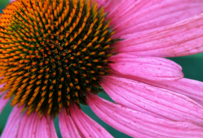 ​描写立秋的诗句古诗（关于秋天的古诗大全）