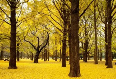 ​征兵工作宣传标语