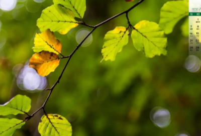 ​纳兰性德的长相思古诗（长相思原文及翻译）