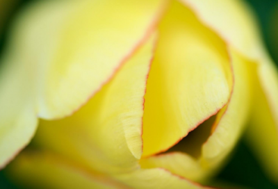 ​赤壁古诗赏析（赤壁原文翻译）